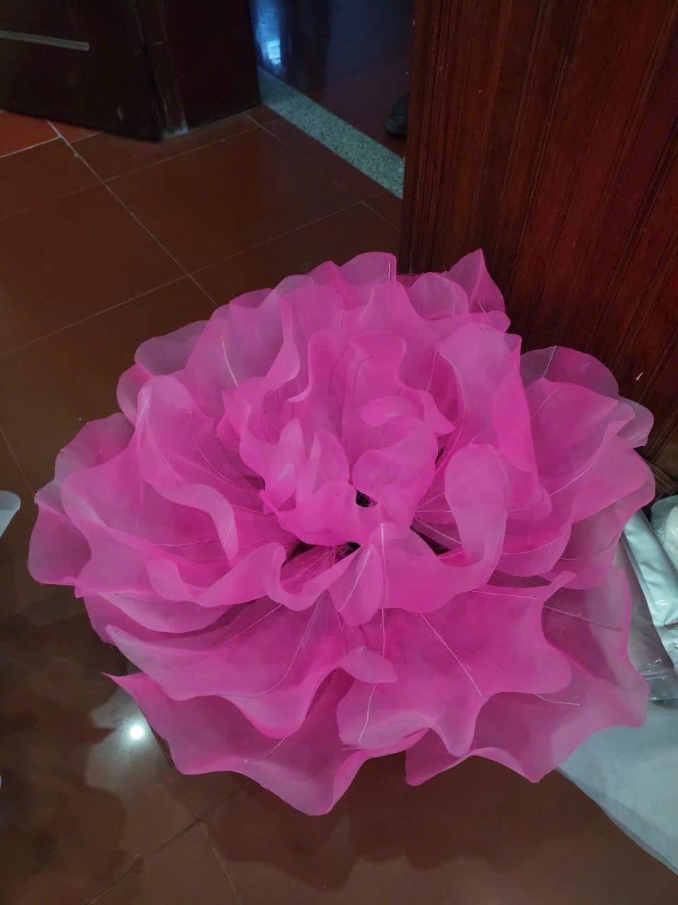 z7458963144642_e028d597c24a9ee46f206f6da5b8bbb6