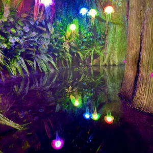 GIẢI PHÁP KINETIC TƯƠNG TÁC